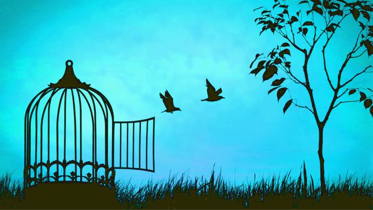 Never Say Never&nbsp;Again